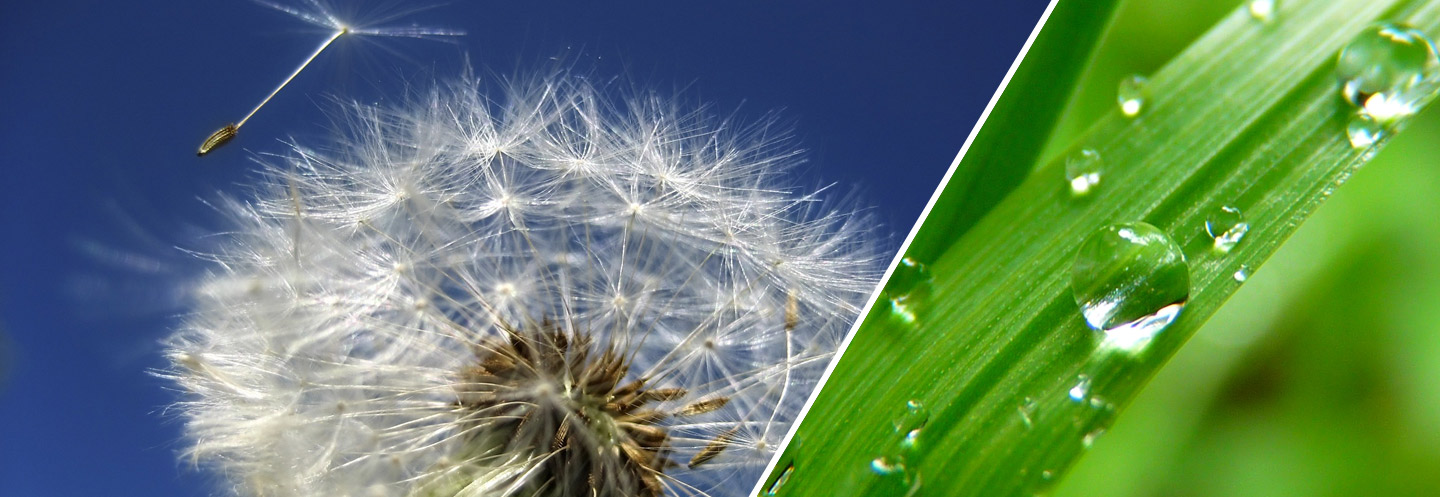 Atemtherapie